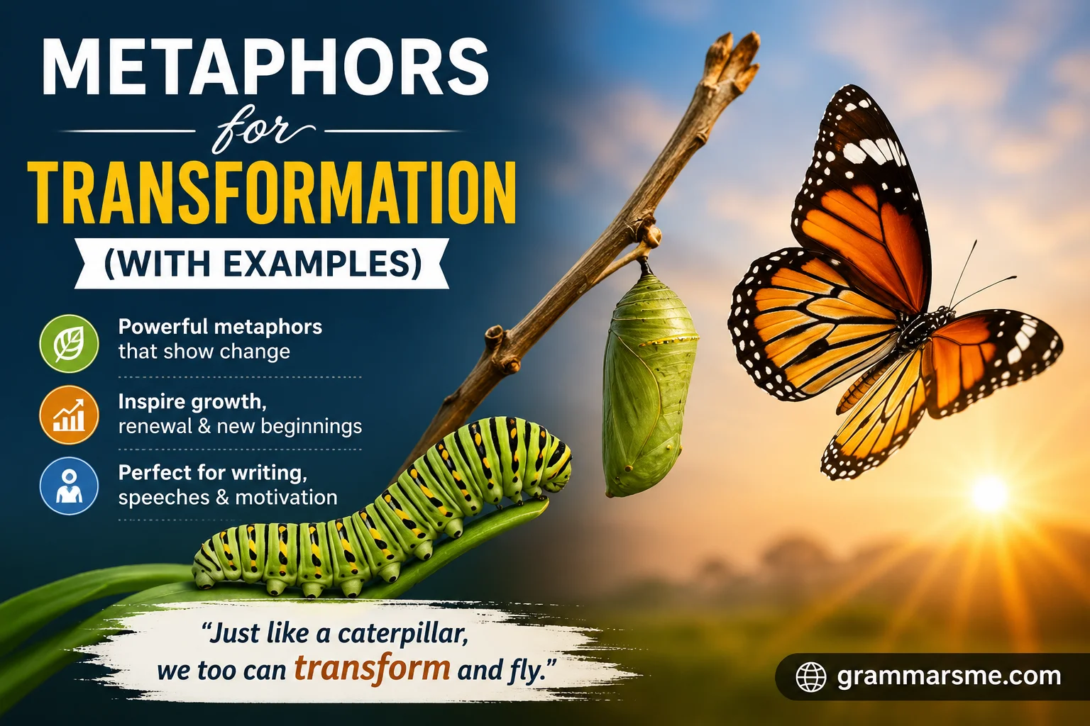 Metaphors for Transformation (With Examples)