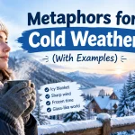 Metaphors for Cold Weather