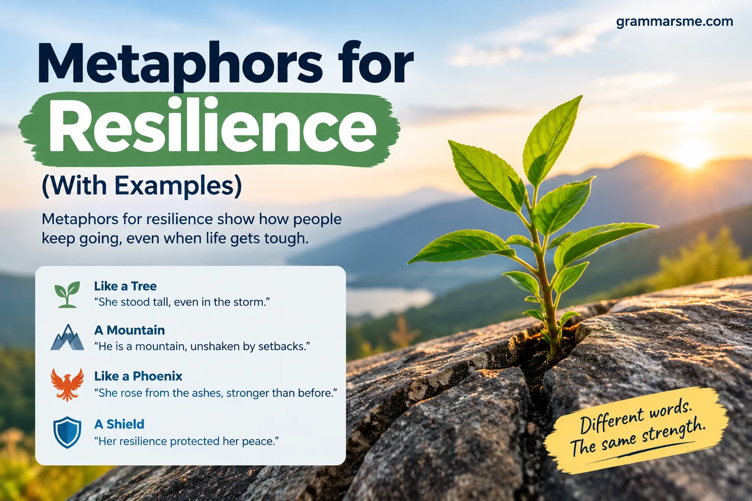 20 Metaphors for Resilience (With Examples)